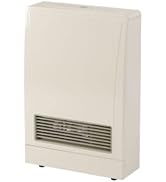 Amazon.com: Rinnai EX22DTWP Direct Vent Wall Furnace, Indoor
